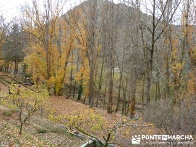 turismo de senderismo;turismo de naturaleza españa;ruta del alto tajo